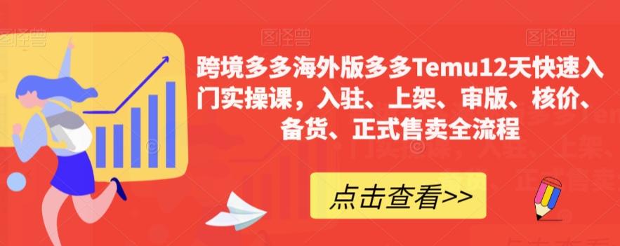 跨境多多海外版多多Temu12天快速入门实操课，入驻、上架、审版、核价、备货、正式售卖全流程-搞个副业