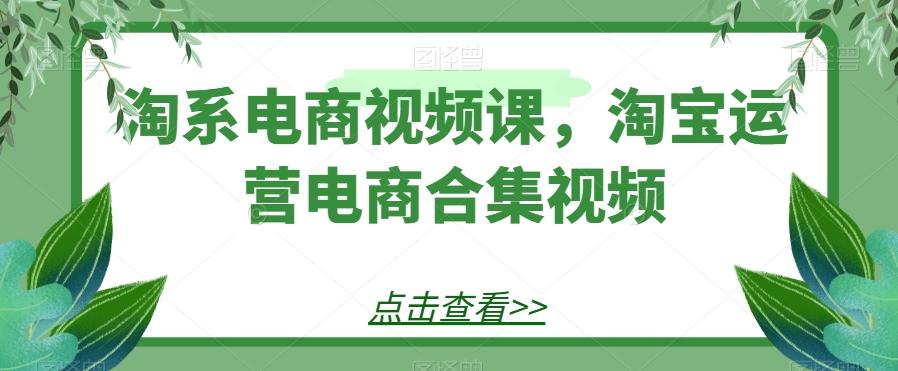 淘系电商视频课，淘宝运营电商合集视频-搞个副业