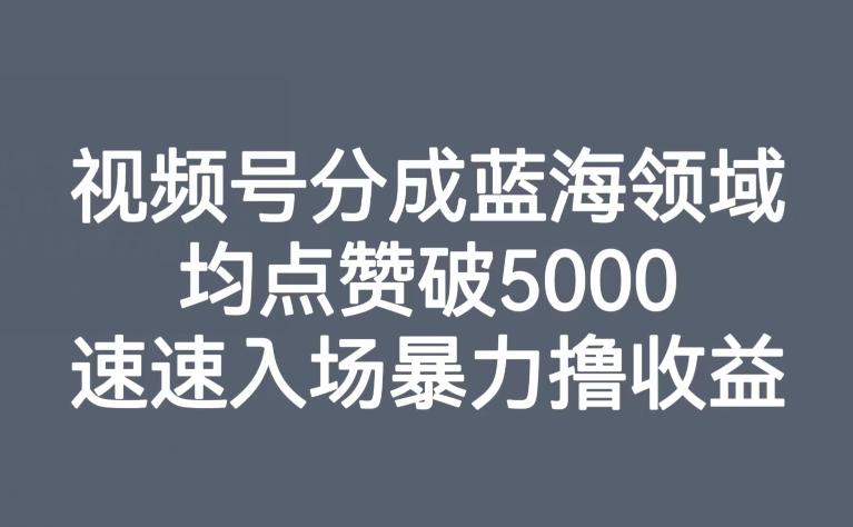 视频号分成蓝海领域，均点赞破5000，速速入场暴力撸收益-搞个副业