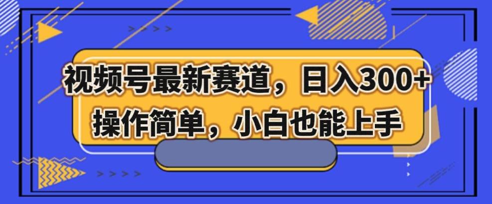 视频号最新赛道，日入300+，新手小白轻松掌握-搞个副业