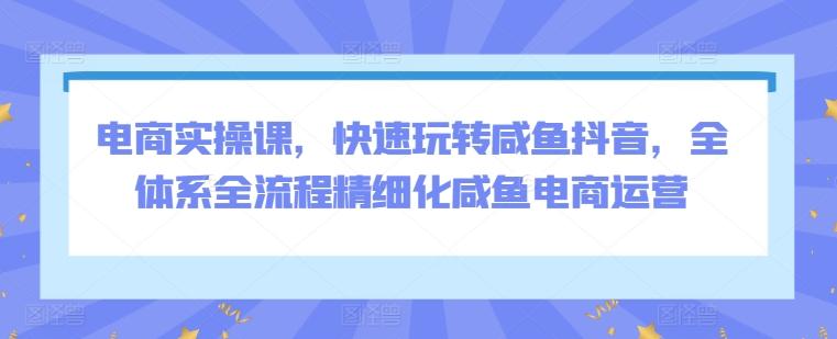 电商实操课，快速玩转咸鱼抖音，全体系全流程精细化咸鱼电商运营-搞个副业