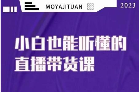 大威本威·能听懂的直播带货课，小白也能听懂，20节完整-搞个副业