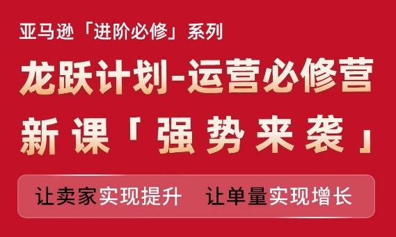 亚马逊进阶必修系列，龙跃计划-运营必修营新课，让卖家实现提升 让单量实现增长-搞个副业