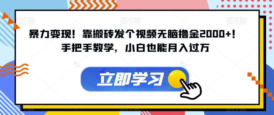 暴力变现！靠搬砖发个视频无脑撸金2000+！手把手教学，小白也能月入过万【揭秘】-搞个副业