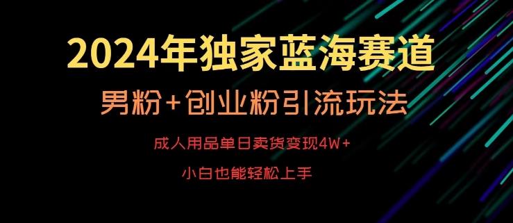 2024年独家蓝海赛道，成人用品单日卖货变现4W+，男粉+创业粉引流玩法，不愁搞不到流量【揭秘】-搞个副业