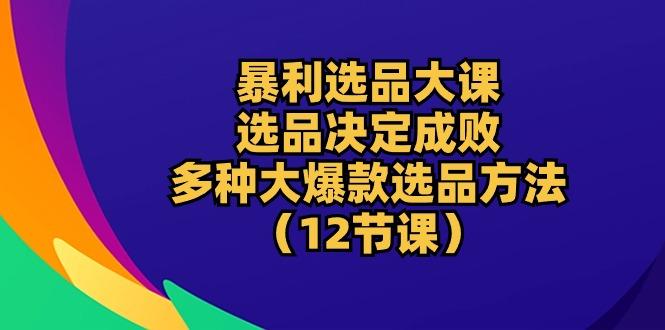 暴利 选品大课：选品决定成败，教你多种大爆款选品方法(12节课-搞个副业