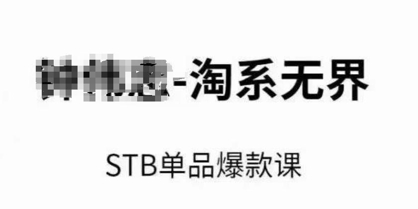 淘系无界STB单品爆款课(2024)，付费带动免费的核心逻辑，万相台无界关键词推广/精准人群的核心-搞个副业