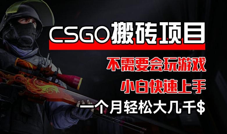 CSGO 装备搬砖项目，操作简单，不需要会玩游戏，小白也能快速上手，一个月轻松大几千【揭秘】-搞个副业