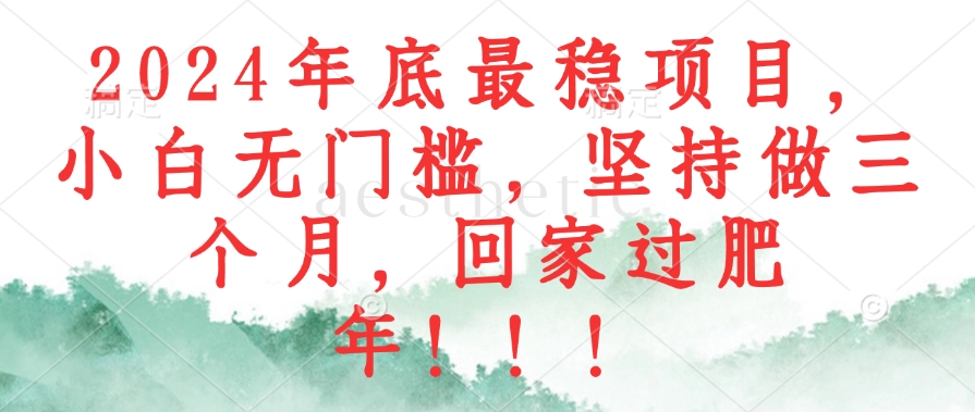 2024年底最稳项目，小白无门槛，坚持做三个月，回家过肥年！！！-搞个副业