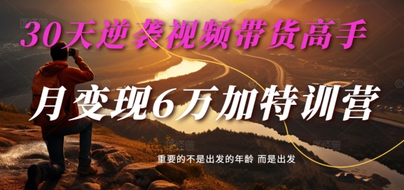 30天逆袭视频带货高手，单月变现6万加特训营-麦子甜-搞个副业