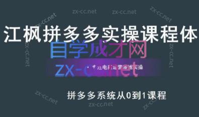 江枫老师·拼多多实操课程-搞个副业