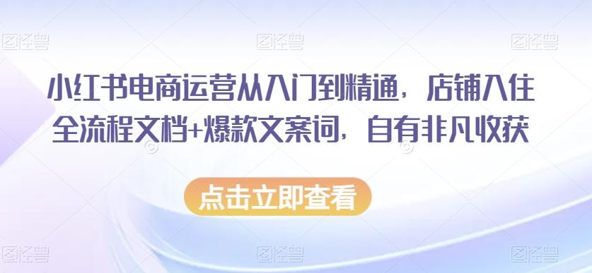 小红书电商运营从入门到精通，店铺入住全流程文档+爆款文案词，自有非凡收获-搞个副业