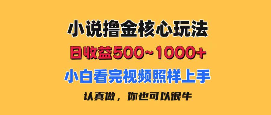 小说撸金核心玩法，日收益500-1000+，小白看完照样上手，0成本有手就行-搞个副业