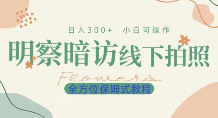 明拍暗拍项目0成本投入日入300+小白可操作保姆式全方位教程-搞个副业