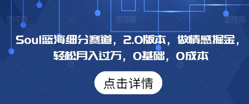 Soul蓝海细分赛道，2.0版本，做情感掘金，轻松月入过万，0基础，0成本-搞个副业