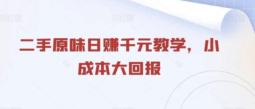 二手原味日赚千元教学，小成本大回报-搞个副业