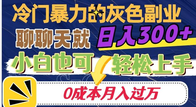 冷门暴利的副业项目，聊聊天就能日入300+，0成本月入过万【揭秘】-搞个副业