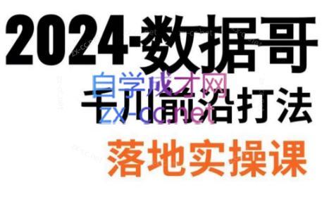 数据哥·2024年千川前沿打法落地实操课-搞个副业