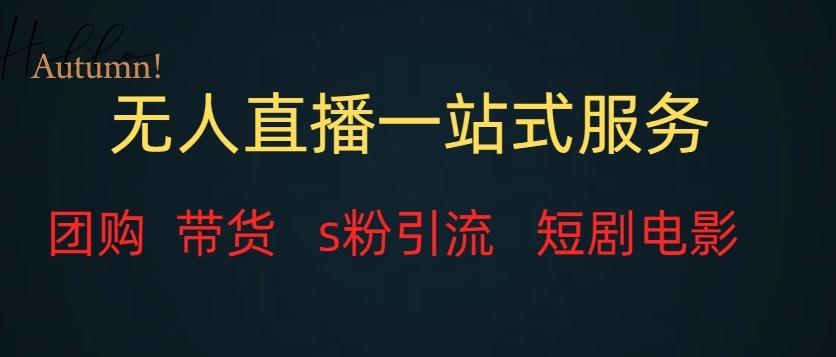 无人直播一站式服务（教程以及变现方式）-搞个副业