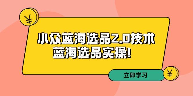 拼多多培训第33期：小众蓝海选品2.0技术-蓝海选品实操！-搞个副业