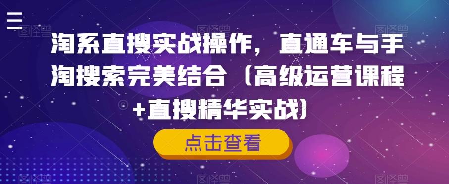淘系直搜实战操作，直通车与手淘搜索完美结合（高级运营课程+直搜精华实战）-搞个副业