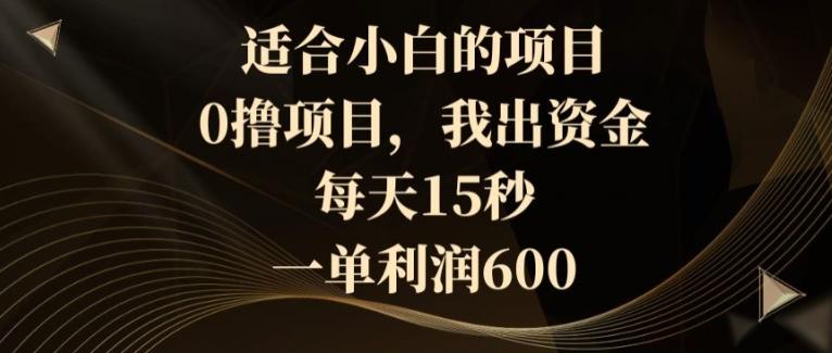 适合小白的项目，0撸项目，我出资金，每天15秒，一单利润600-搞个副业