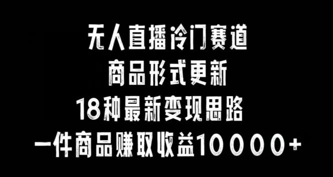 无人直播冷门赛道，商品形式更新，18种变现思路，一件商品赚取收益10000+【揭秘】-搞个副业