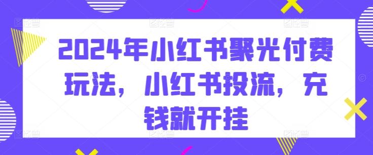 2024年小红书聚光付费玩法，小红书投流，充钱就开挂-搞个副业