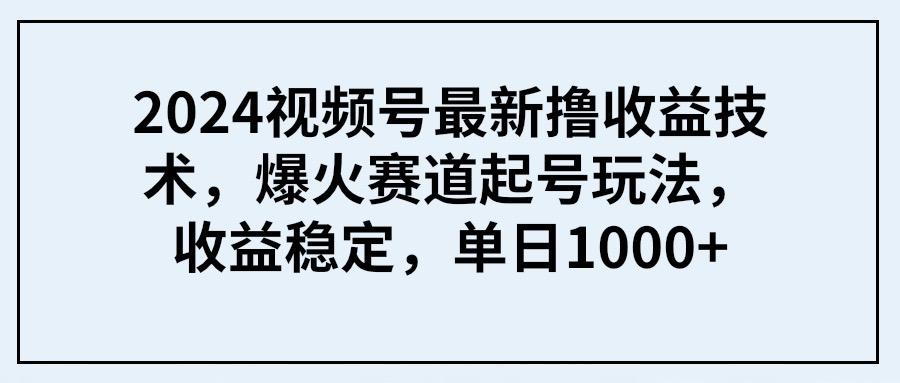 (9651期) 2024视频号最新撸收益技术，爆火赛道起号玩法，收益稳定，单日1000+-搞个副业