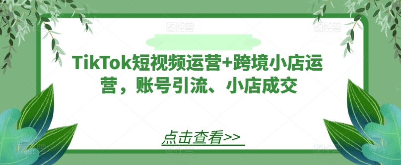 TikTok短视频运营+跨境小店运营，账号引流、小店成交-搞个副业