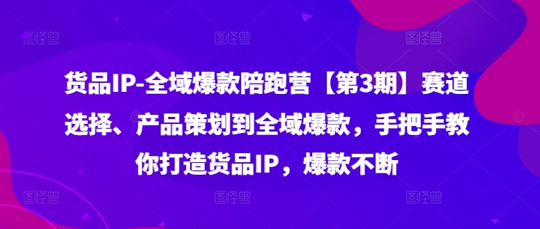 货品IP全域爆款陪跑营【第3期】赛道选择、产品策划到全域爆款，手把手教你打造货品IP，爆款不断-搞个副业