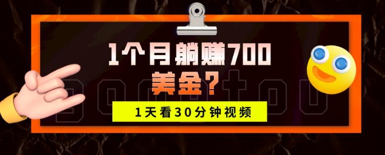 1天看30分钟视频，1个月躺赚700美金？-搞个副业