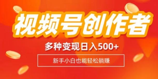 视频号创作者计划，多种变现方式，日入500+【内附1080g视频素材】-搞个副业