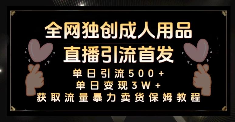 全网独创真人主播+无人直播单日引流500+，橙人用品暴力卖货单日变现3W+保姆似教学2.0【揭秘】-搞个副业