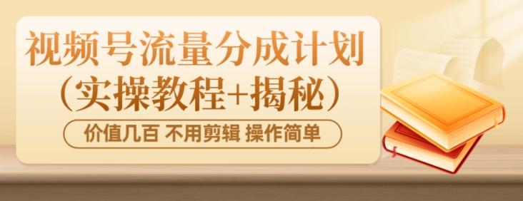 价值几百上千不用剪辑简单操作视频号流量分成计划（实操教程+揭秘）-搞个副业