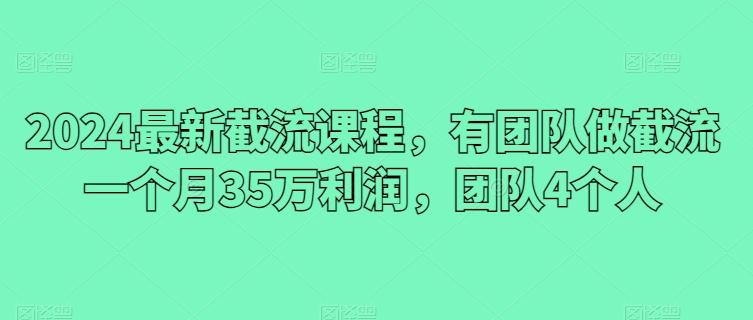 2024最新截流课程，有团队做截流一个月35万利润，团队4个人-搞个副业