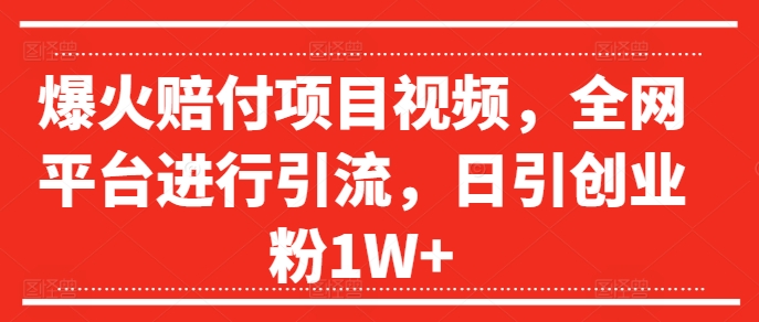 爆火赔付项目视频，全网平台进行引流，日引创业粉1W+【揭秘】-搞个副业