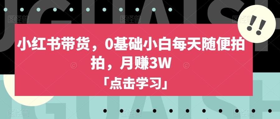 小红书带货，0基础小白每天随便拍拍，月赚3W【揭秘】-搞个副业