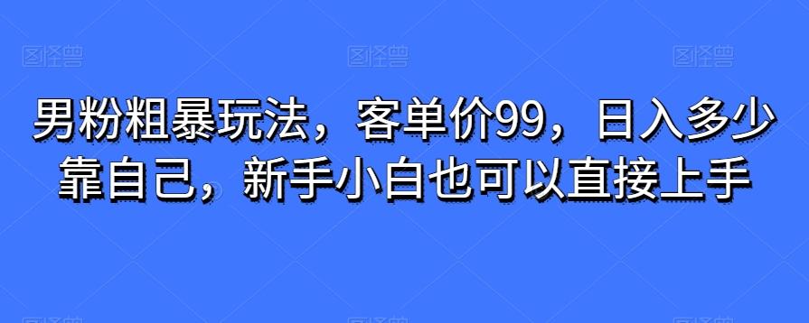 男粉粗暴玩法，客单价99，日入多少靠自己，新手小白也可以直接上手-搞个副业