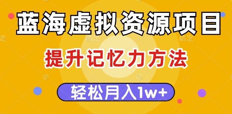 蓝海虚拟资源项目，提升记忆力方法，多种变现方式，轻松月入1w+【揭秘】-搞个副业