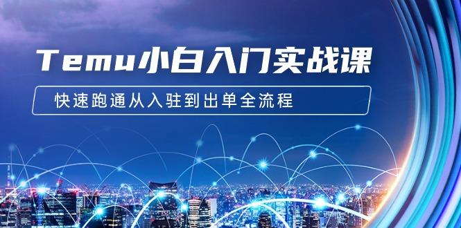 (9295期)Temu小白入门实战课：跨境拼多多电商培训 快速跑通从入驻到出单全流程-12节-搞个副业