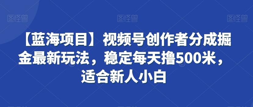 【蓝海项目】视频号创作者分成掘金最新玩法，稳定每天撸500米，适合新人小白【揭秘】-搞个副业