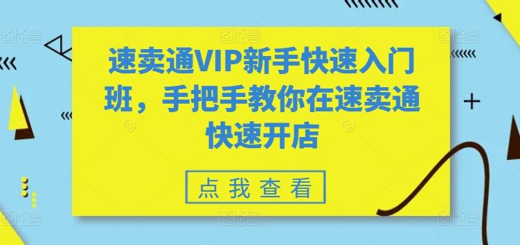 速卖通VIP新手快速入门班，手把手教你在速卖通快速开店-搞个副业
