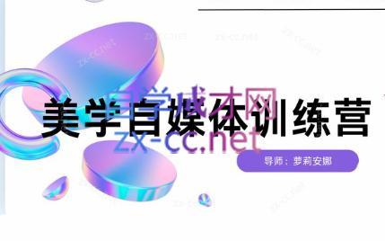 安娜·美学自媒体IP系统课-搞个副业