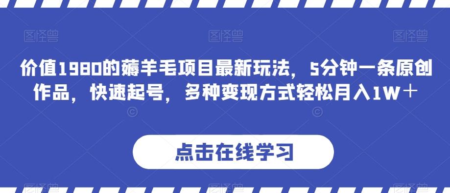 价值1980的薅羊毛项目最新玩法，5分钟一条原创作品，快速起号，多种变现方式轻松月入1W＋【揭秘】-搞个副业