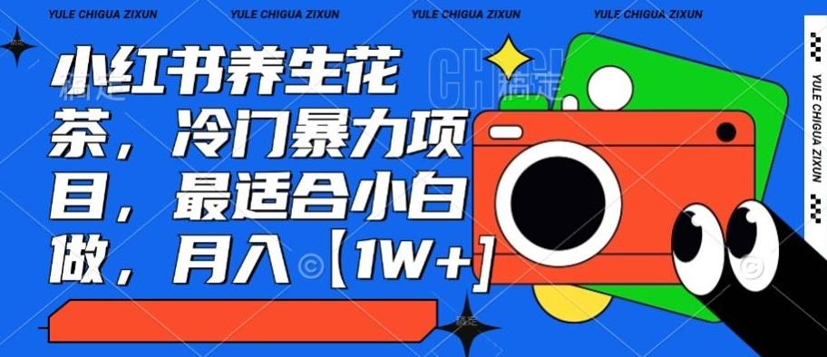 小红书养生花茶，冷门暴力项目，最适合小白做，月入【1W+】-搞个副业