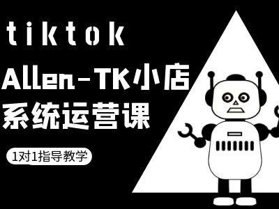 TK小店系统运营课-tiktok跨境电商教程-搞个副业