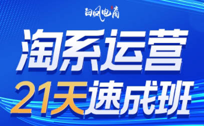淘系运营21天速成班(更新9月)-搞个副业