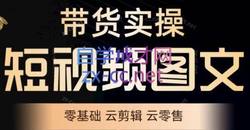 鑫哥·2024零基础短视频带货实操营-搞个副业