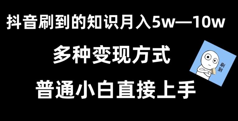 抖音刷到的知识，每天只需2小时，日入2000+，暴力变现，普通小白直接上手【揭秘】-搞个副业